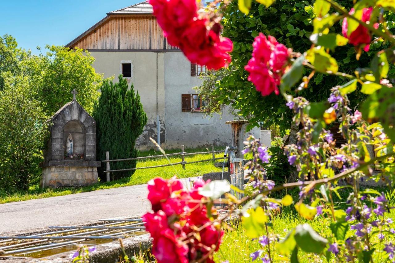 Votre studio balnéo bien-être à la montagne Thollon-les-Memises Esterno foto