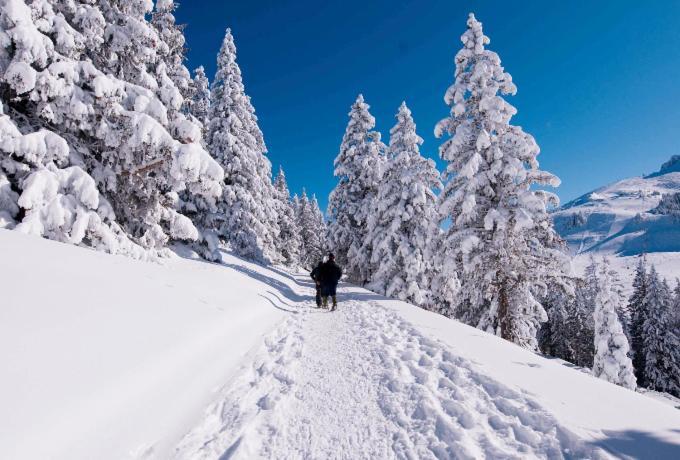 Votre studio balnéo bien-être à la montagne Thollon-les-Memises Esterno foto
